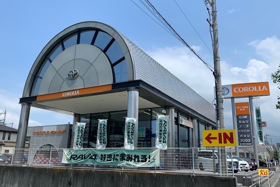 C熊取