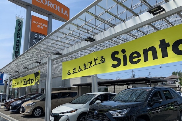 C熊取