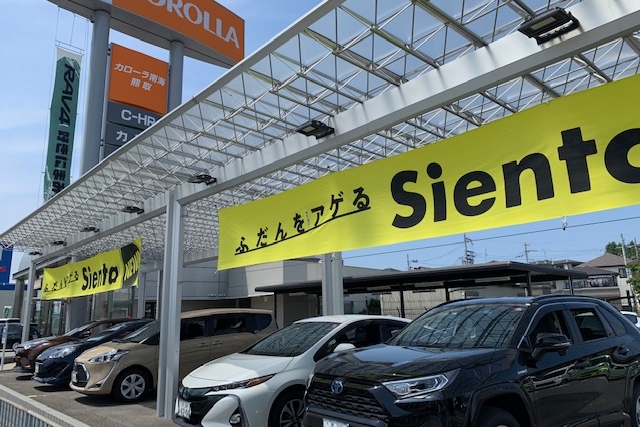 C熊取