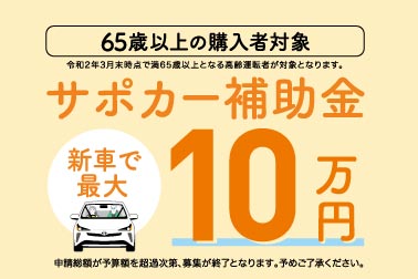 最大1 Fukubukuro 500円offクーポン発行中 有効期間 12 19 土 00 12 26 土 01 59迄 アリーナ 水泳 Karaasunappu 差し込みフィットパッド レディース Lar 0241we Mkgr Yuukou