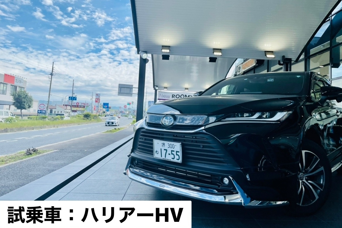 C泉佐野_3