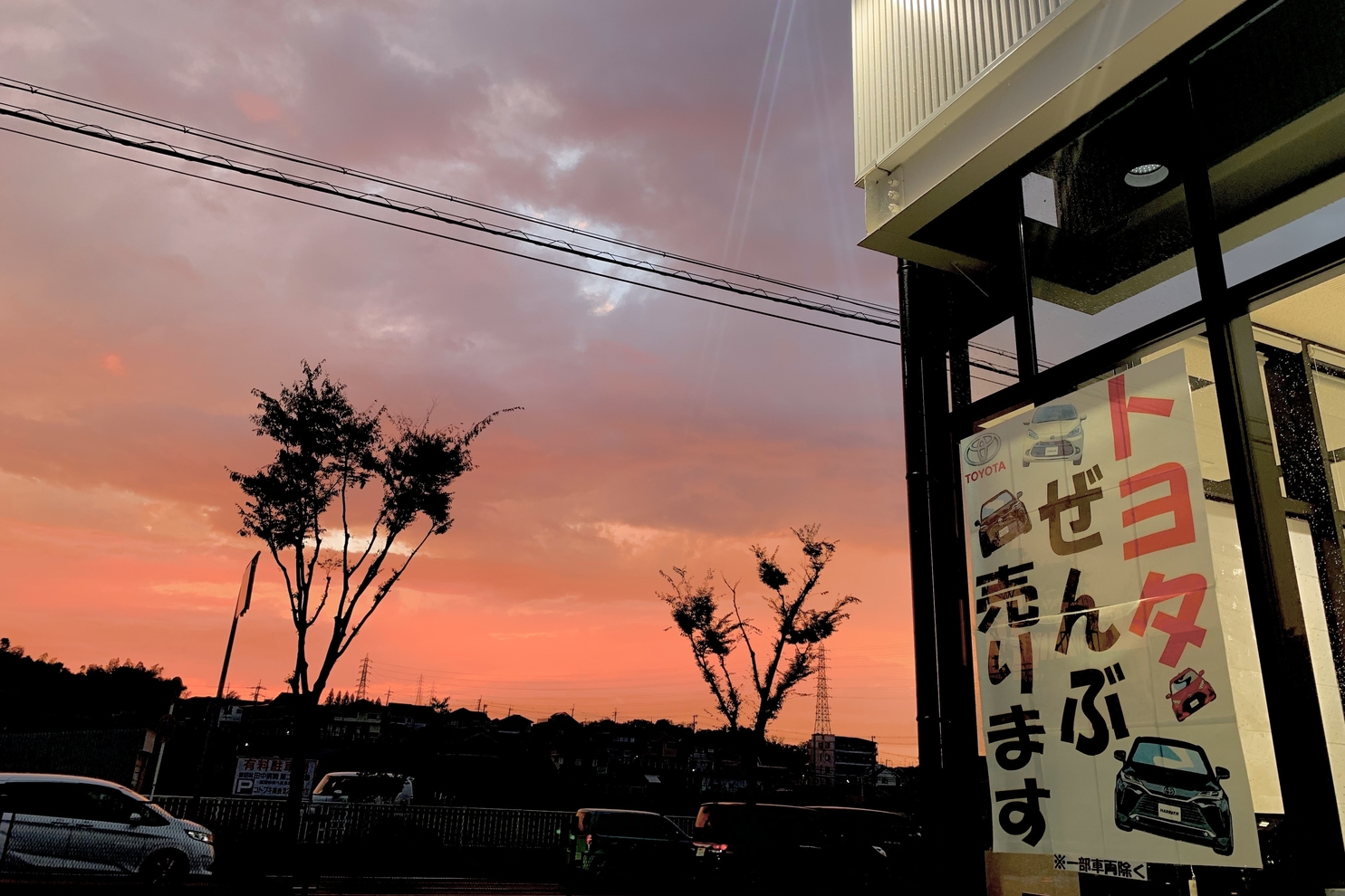 C富田林_1