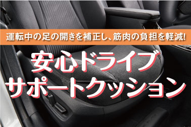 安心サポート_アイコン