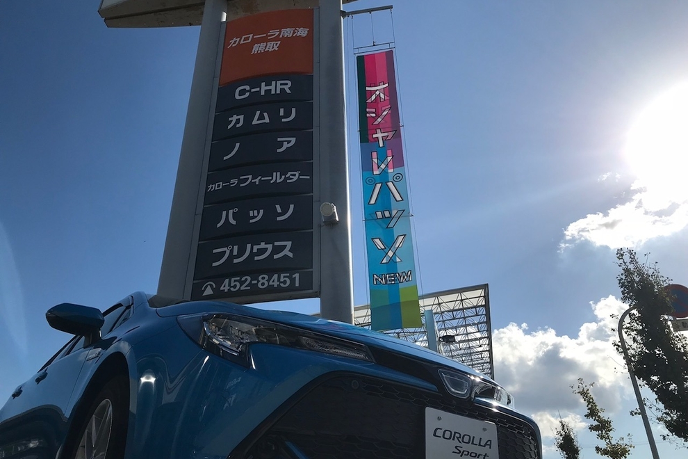 C熊取